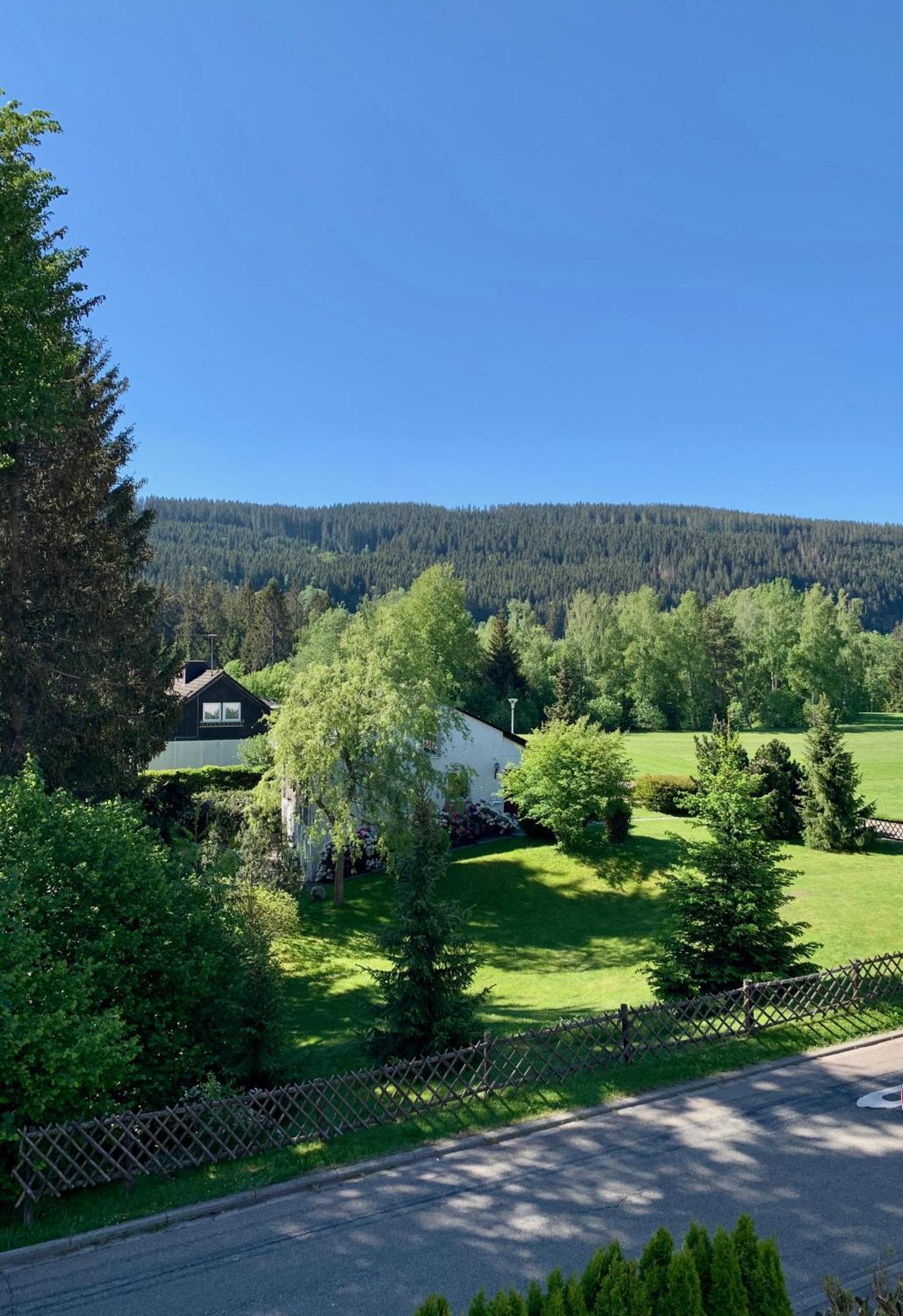 Ferienwohnung Homburger - Titisee ภายนอก รูปภาพ
