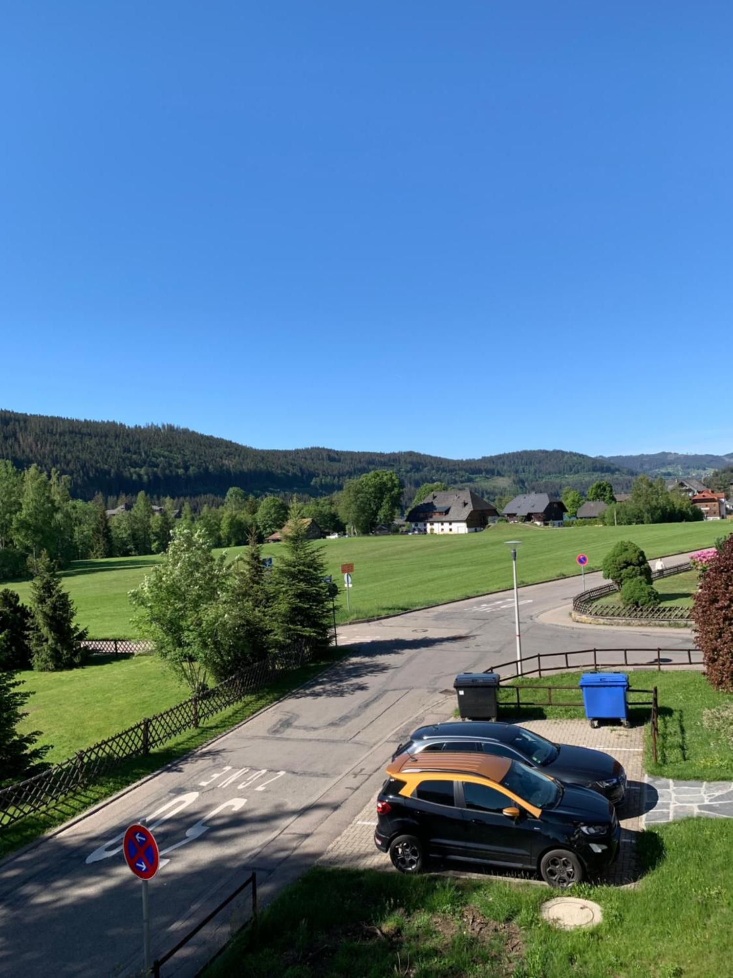 Ferienwohnung Homburger - Titisee ภายนอก รูปภาพ