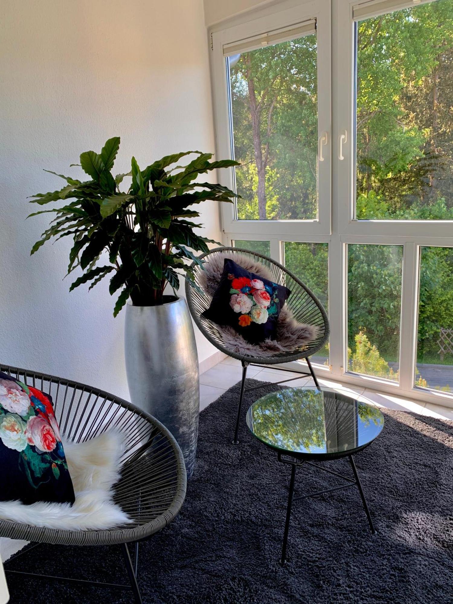 Ferienwohnung Homburger - Titisee ภายนอก รูปภาพ